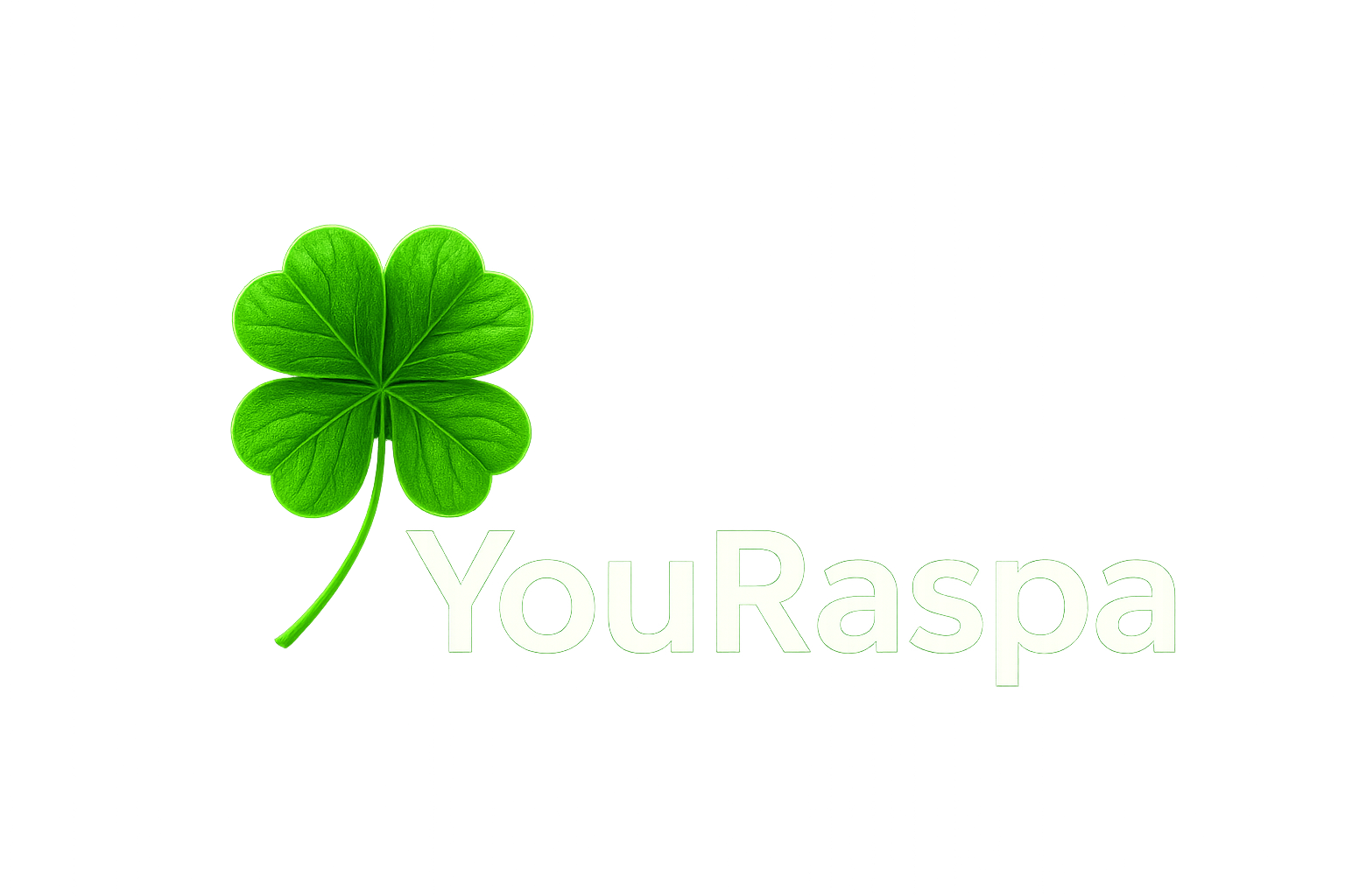 YouRaspa